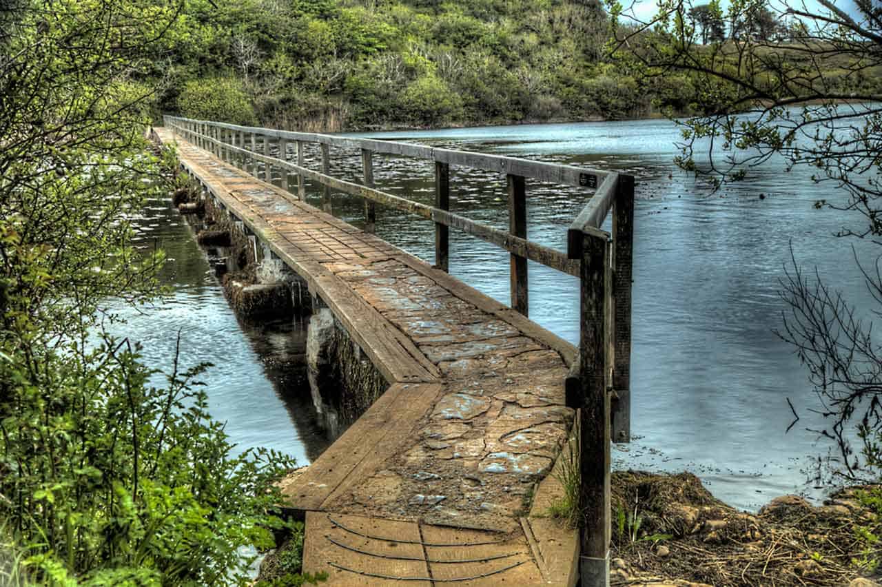 Walkway over Bosherston Lily Ponds