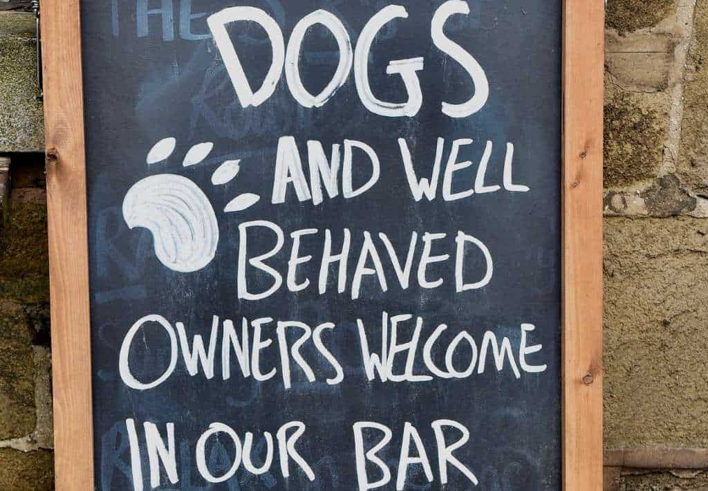 Dog Friendly Pubs In Tenby